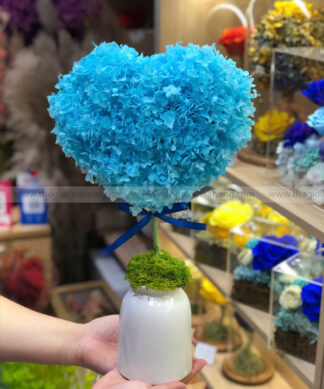 Bình hoa cẩm tú cầu - Bình Yên