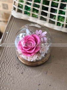Chụp cầu thuỷ tinh hoa hồng - Binky