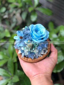 Chụp cầu thuỷ tinh hoa hồng xanh - Binky