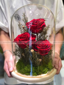 Chụp thuỷ tinh hoa hồng vĩnh cửu - Love Paradise