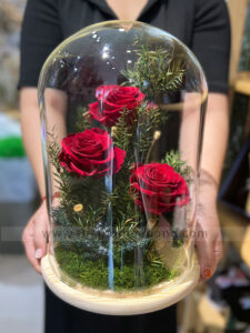 Chụp thuỷ tinh hoa hồng vĩnh cửu - Love Paradise