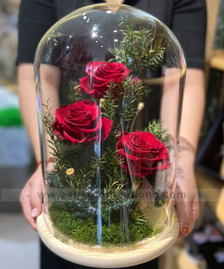 Chụp thuỷ tinh hoa hồng vĩnh cửu - Love Paradise