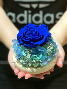 Chụp cầu thuỷ tinh hoa hồng xanh - Sweet Blue