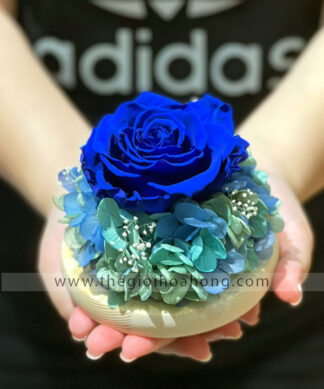 Chụp cầu thuỷ tinh hoa hồng xanh - Sweet Blue