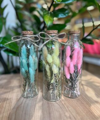 Lọ thuỷ tinh cỏ đuôi thỏ khô