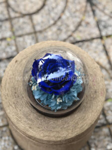 Chụp cầu thuỷ tinh hoa hồng xanh - Sweet Blue