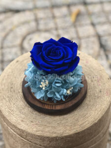 Chụp cầu thuỷ tinh hoa hồng xanh - Sweet Blue
