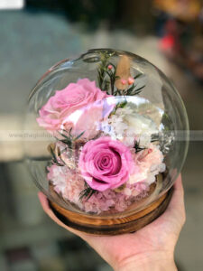Chụp cầu thuỷ tinh hoa hồng vĩnh cửu – Baby Pink