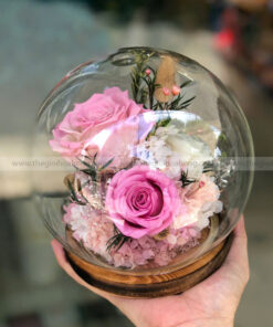 Chụp cầu thuỷ tinh hoa hồng vĩnh cửu – Baby Pink