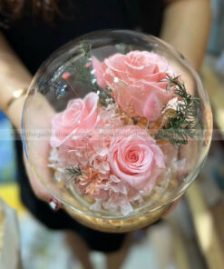 Chụp cầu thuỷ tinh hoa hồng vĩnh cửu – Baby Pink