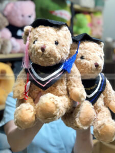 Gấu Teddy Tốt Nghiệp Congratulations lông xoắn