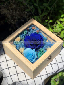Hộp hoa hồng xanh - Love Is Blue