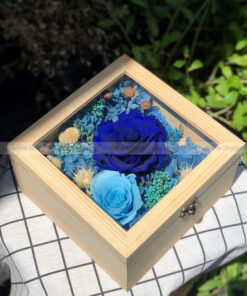 Hộp hoa hồng xanh - Love Is Blue