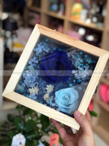 Hộp hoa hồng xanh - Love Is Blue