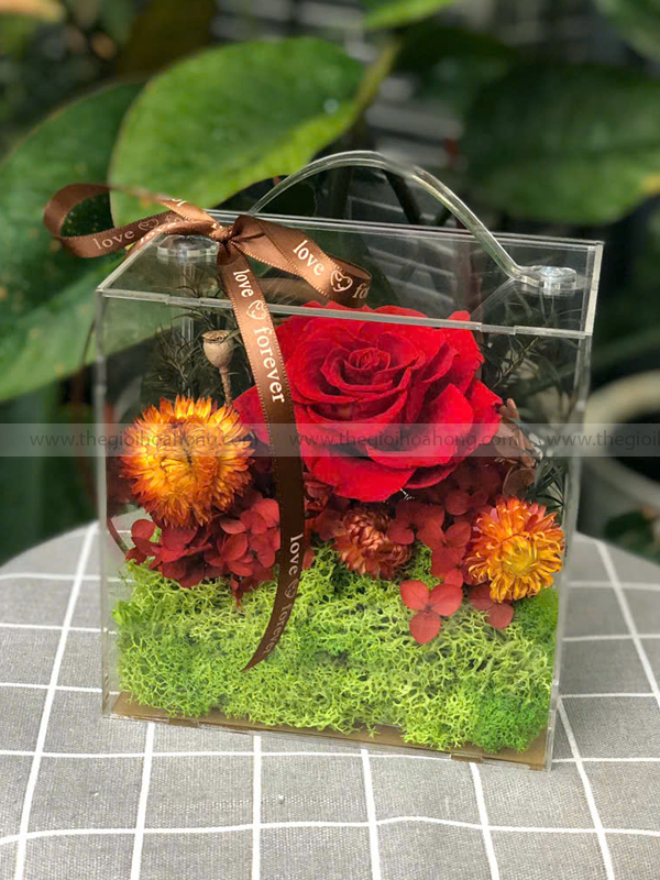 Hộp Vali mica hoa hồng đỏ - One True Love