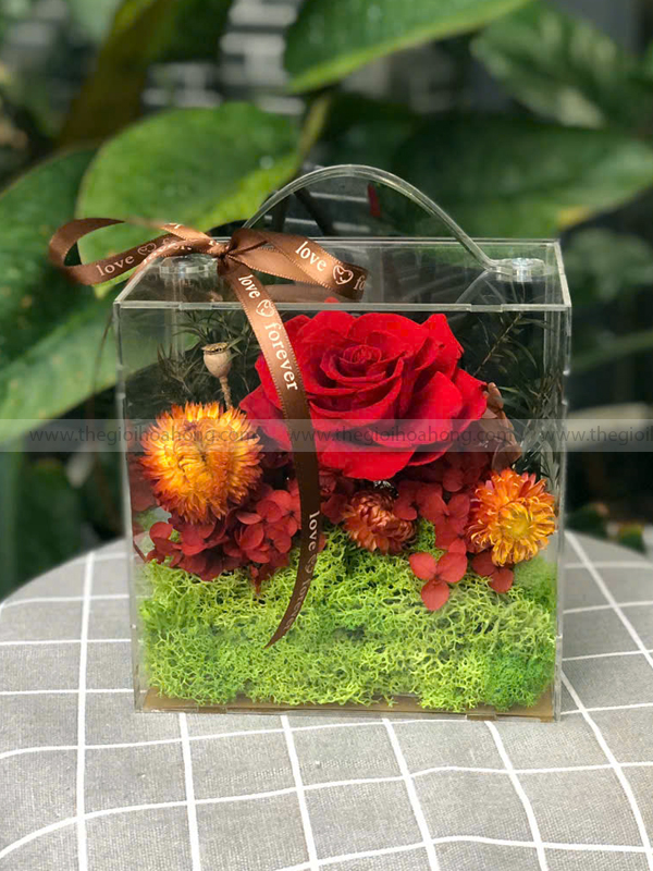 Hộp Vali mica hoa hồng đỏ - One True Love