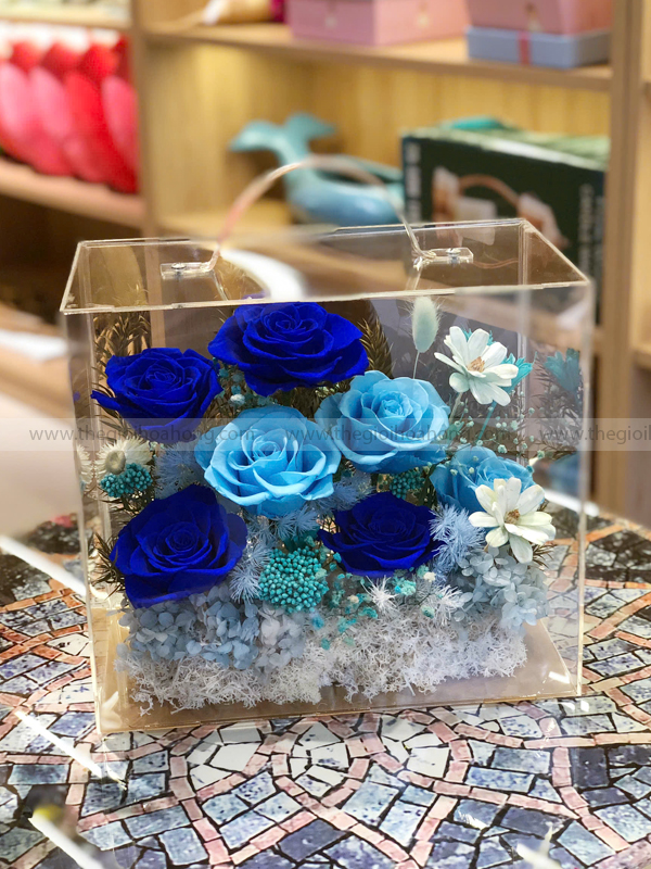 Hộp Vali mica hoa hồng vĩnh cửu - Mystery