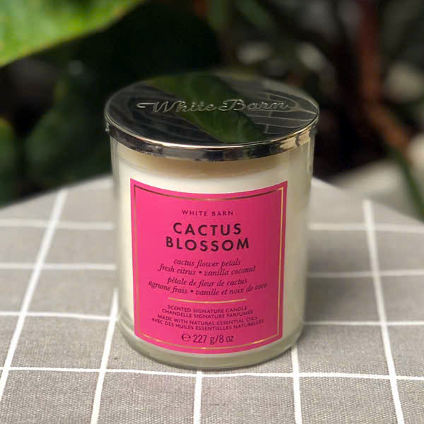 Nến thơm Bath And Body Works Cactus Blossom 1 bấc