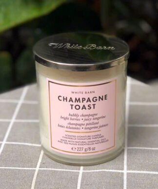 Nến thơm Bath And Body Works Champagne Toast 1 bấc