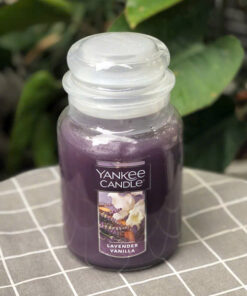 Nến Thơm Yankee Candle Lavender Vanilla Large Jar Candles