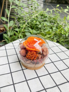 Chụp cầu thuỷ tinh hoa hồng – Candy Rose Orange