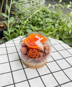 Chụp cầu thuỷ tinh hoa hồng – Candy Rose Orange