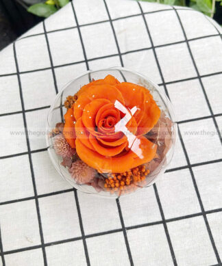 Chụp cầu thuỷ tinh hoa hồng – Candy Rose Orange