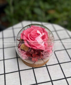 Chụp cầu thuỷ tinh hoa hồng - Candy Rose Pink