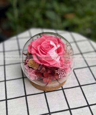 Chụp cầu thuỷ tinh hoa hồng - Candy Rose Pink