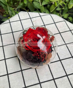 Chụp cầu thuỷ tinh hoa hồng – Candy Rose Red
