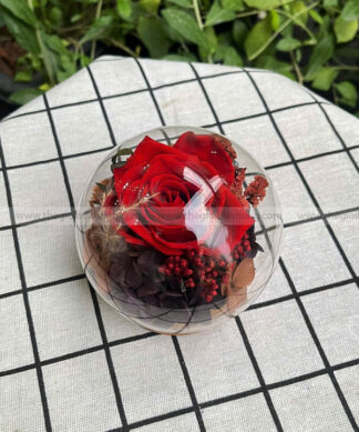 Chụp cầu thuỷ tinh hoa hồng – Candy Rose Red