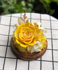 Chụp cầu thuỷ tinh hoa hồng vàng – Binky