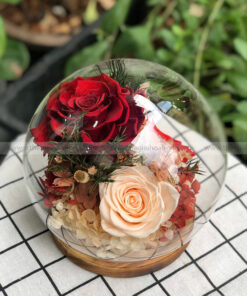 Chụp cầu thuỷ tinh hoa hồng vĩnh cửu – Baby Red