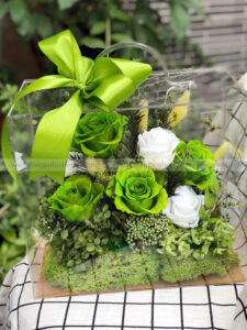 Hộp Vali mica hoa hồng vĩnh cửu - Green Harmony Box
