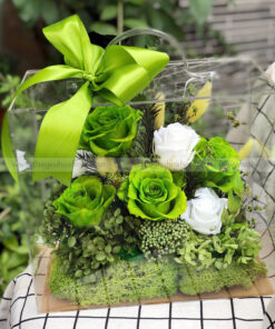 Hộp Vali mica hoa hồng vĩnh cửu - Green Harmony Box