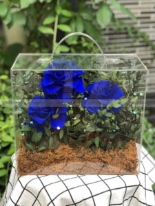 Hộp Vali mica hoa hồng xanh vĩnh cửu - Midnight Blue