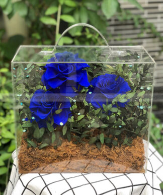 Hộp Vali mica hoa hồng xanh vĩnh cửu - Midnight Blue