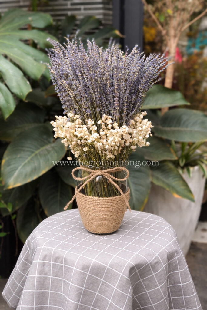 Ý nghĩa hoa Lavender – Biểu tượng của tình yêu vĩnh cửu và sự bình yên