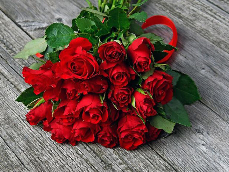 Ý nghĩa hoa hồng đỏ – Biểu tượng tình yêu nồng cháy
