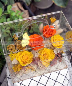 Hộp Vali mica hoa hồng vĩnh cửu – Autumn Box