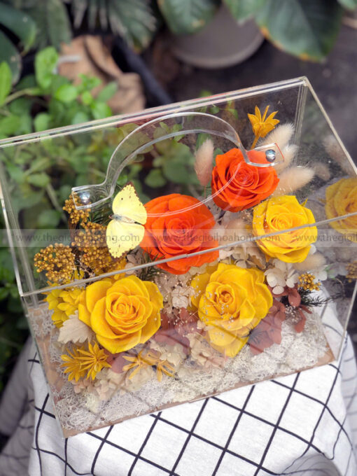 Hộp Vali mica hoa hồng vĩnh cửu – Autumn Box
