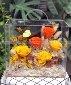 Hộp Vali mica hoa hồng vĩnh cửu – Autumn Box