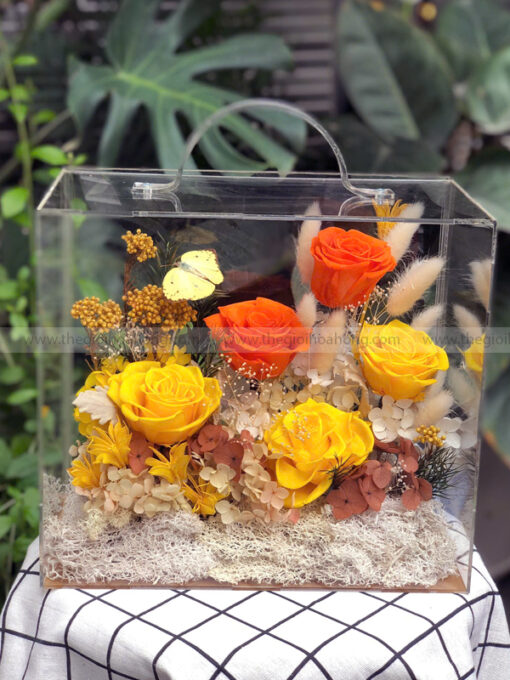 Hộp Vali mica hoa hồng vĩnh cửu – Autumn Box