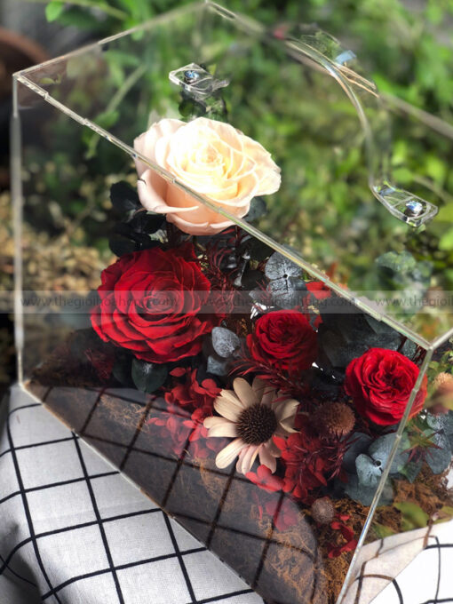 Hộp Vali mica hoa hồng vĩnh cửu – Passion Box