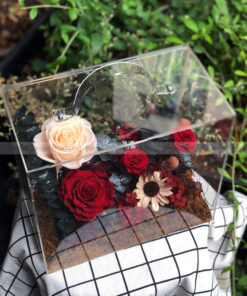 Hộp Vali mica hoa hồng vĩnh cửu – Passion Box