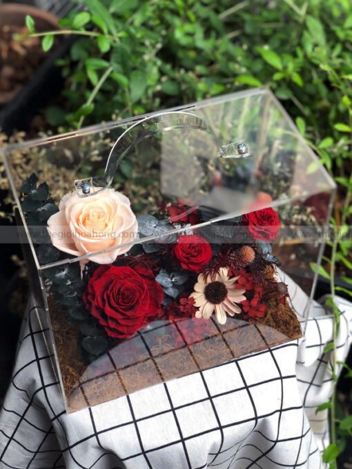 Hộp Vali mica hoa hồng vĩnh cửu – Passion Box