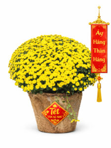 Giỏ Cúc Mâm Xôi - Đại Phú Quý