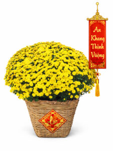 Giỏ Cúc Mâm Xôi - Đại Phú Quý