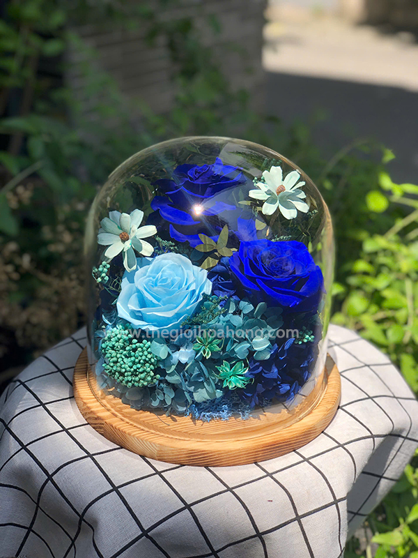 Hoa hồng xanh tặng bạn gái