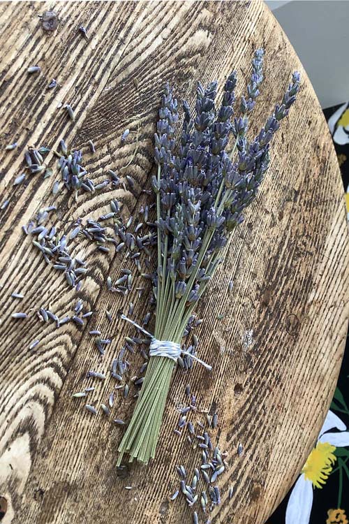 Hoa Lavender Khô